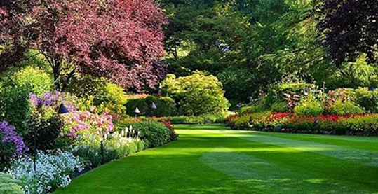 Service Illustration